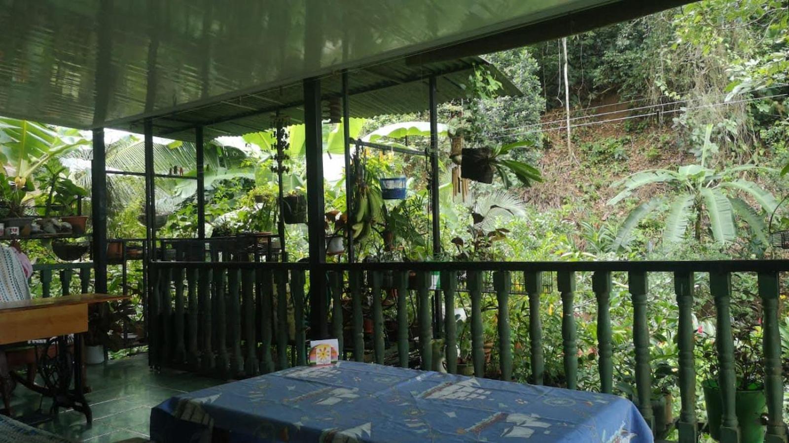 Golfito Maison D'Hotes 外观 照片